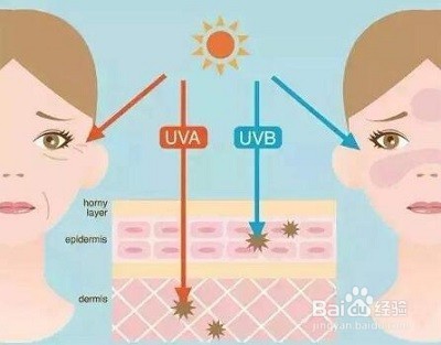 暗黄皮肤如何美白 自然兰助你变身白富美