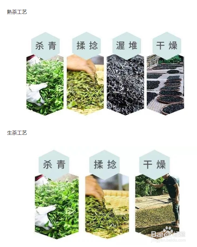传匠茶号普洱学堂：怎么分辨生茶和熟茶