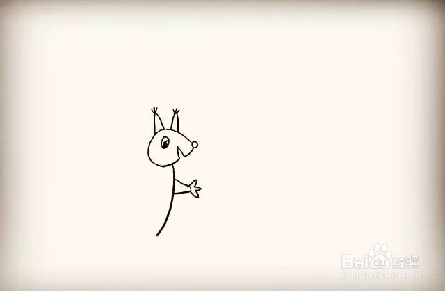 简笔画怎么画可爱小松鼠？