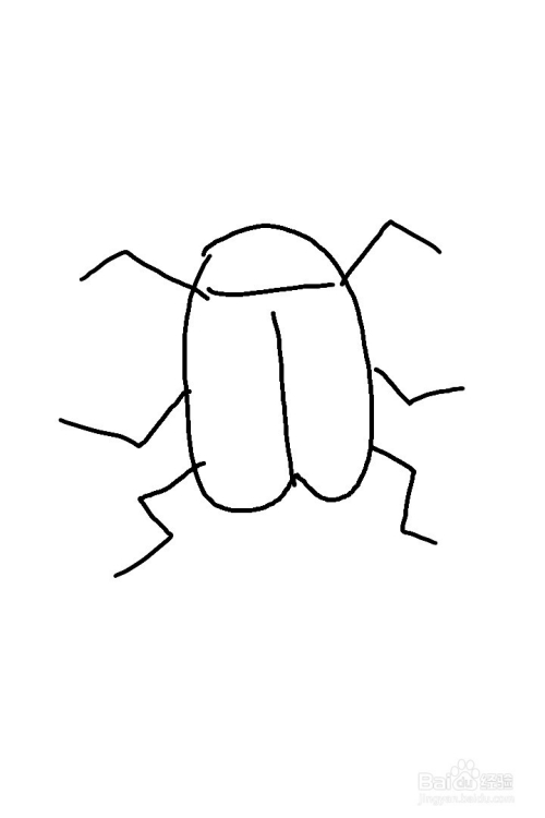 画蟑螂的方法二