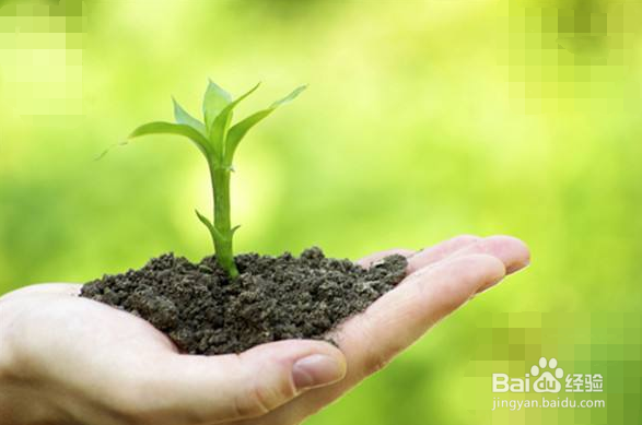 如何利用天利固液分离机TL-800处理猪粪？