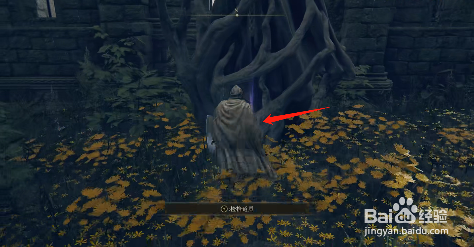 艾尔登法环圣杯滴露在哪获得