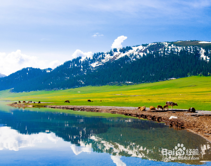 新疆7日游，有什么路线推荐？