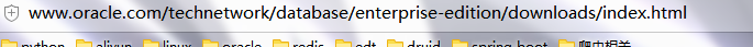 Oracle 11g下载|Oracle 11g 64位/32位下载官方