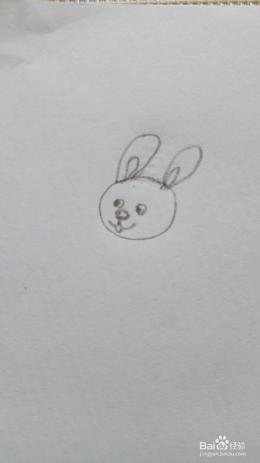 儿童简笔画彩色小兔子的画法