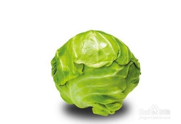冬天蔬菜怎么储存