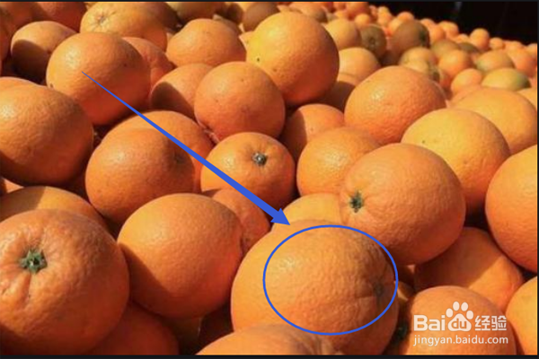 怎么挑到甜的橙子