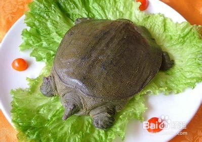 女人怀孕的时候不能吃什么?