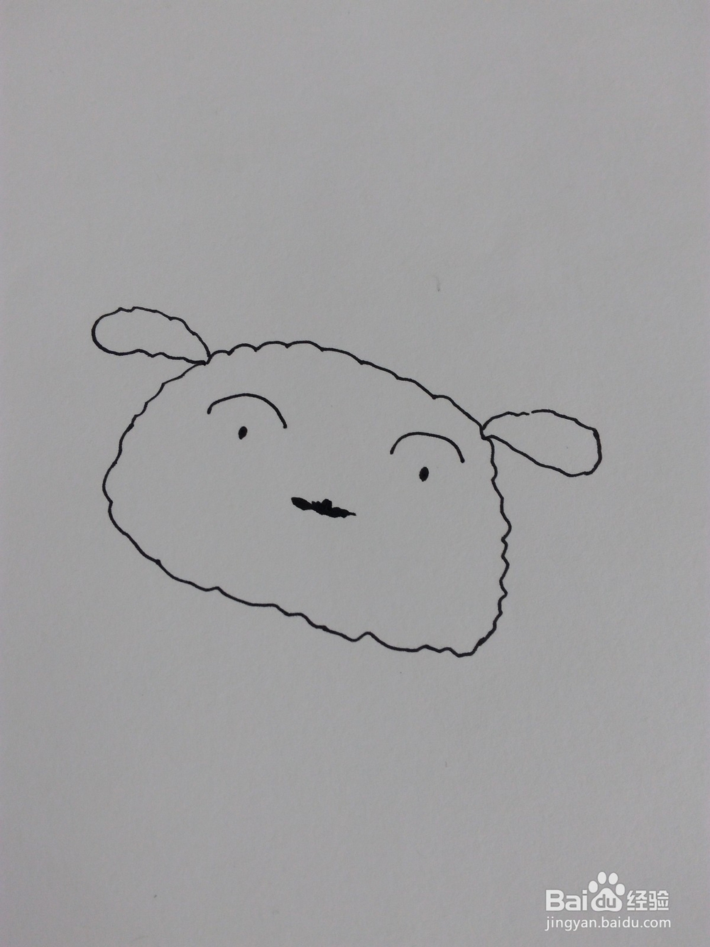 简笔画：画一只萌萌哒小白