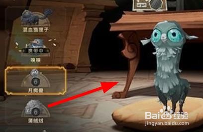 哈利波特魔法觉醒新春灯谜答案是什么