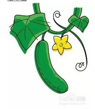 什么食物千万别放冰箱里！