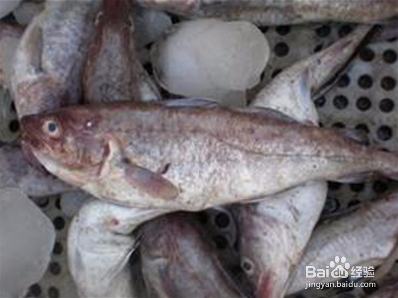 春节必备年货清单有那些?