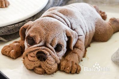 网红沙皮狗慕斯蛋糕简单做法 百度经验