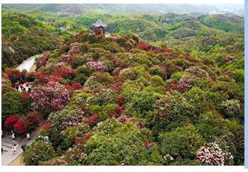 暑假贵州围绕黄果树瀑布5日游攻略