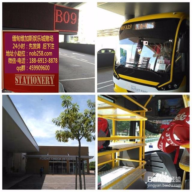 体育讲堂:体育运动安全常识