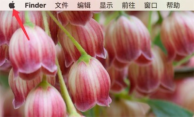 苹果电脑怎么看配置