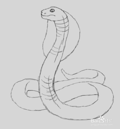 用素描画眼镜蛇的所有教程