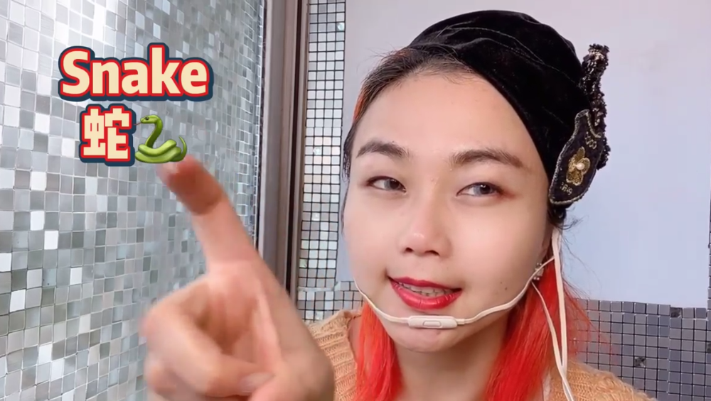 各种动物的英文是什么