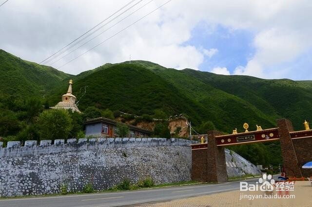 甘南格桑花草原旅游怎么样