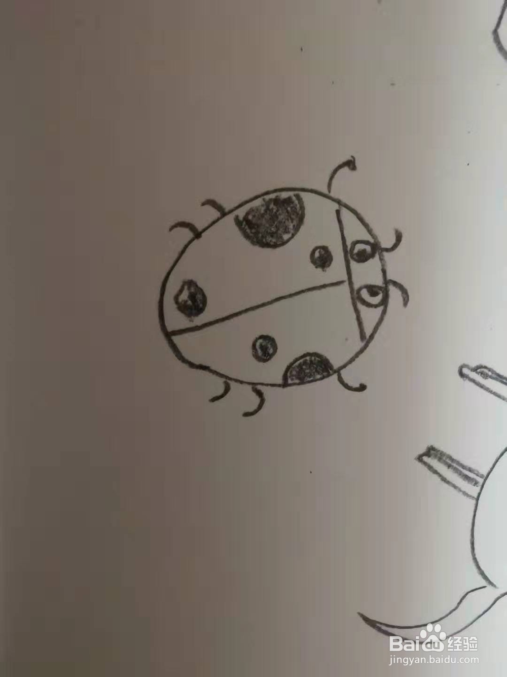 如何画七星瓢虫的简笔画