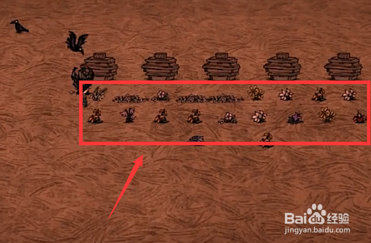 饥荒怎么建蜂箱