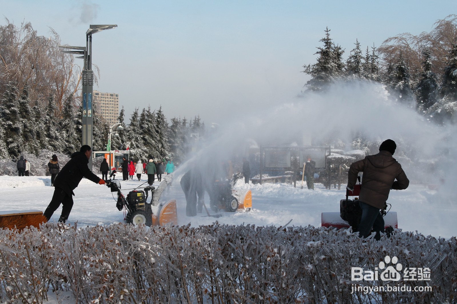 怎样用古诗形容长春2020年冬季第一场雪