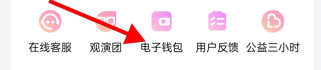 大麦怎样查看电子钱包