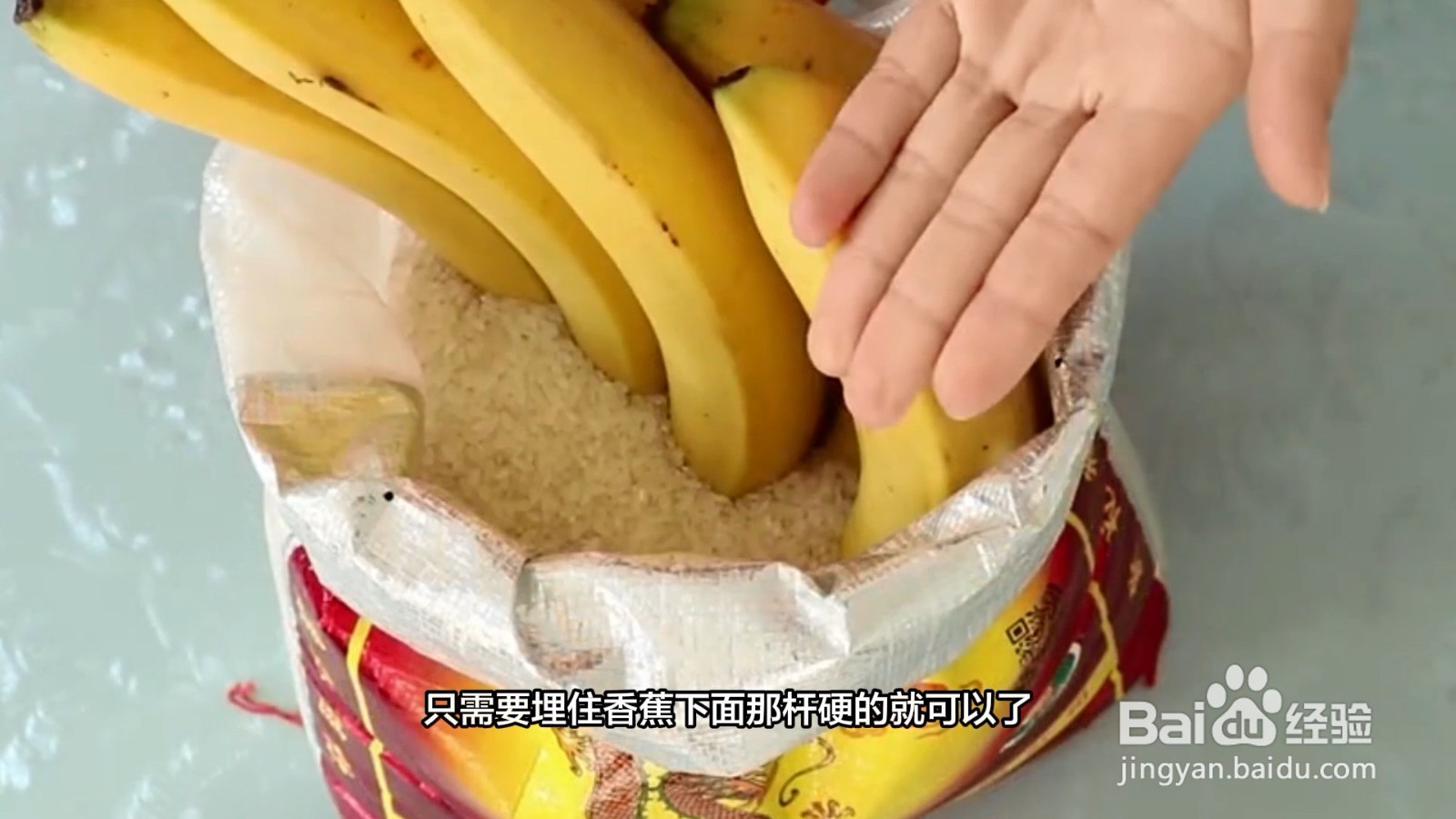 香蕉催熟的方法