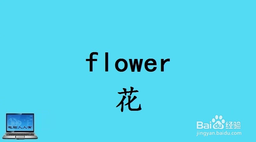 花相关的英语单词