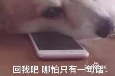 舔狗与暖男的区别