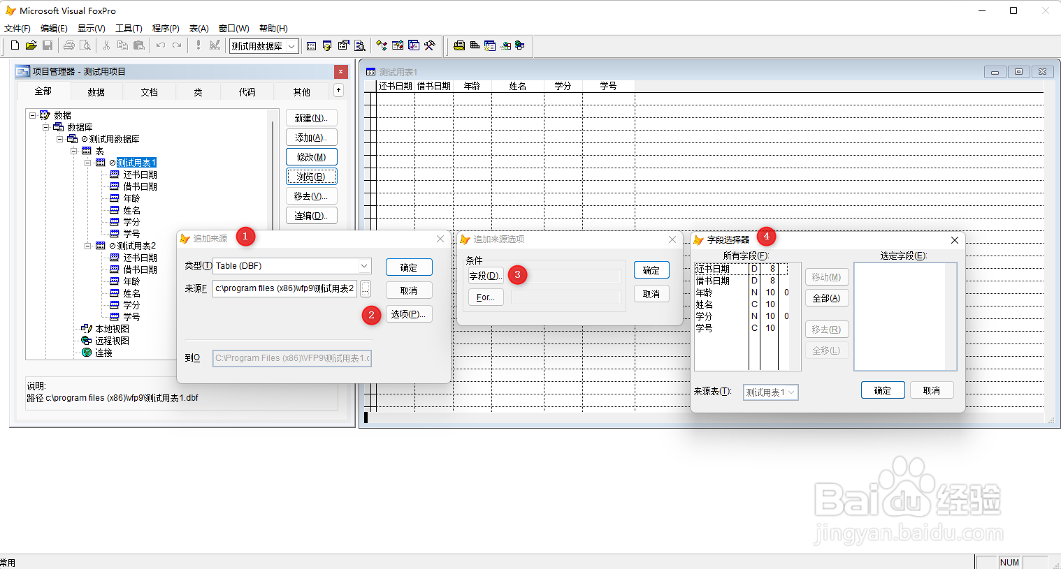 VF9.0利用字段选择器，对表追加记录