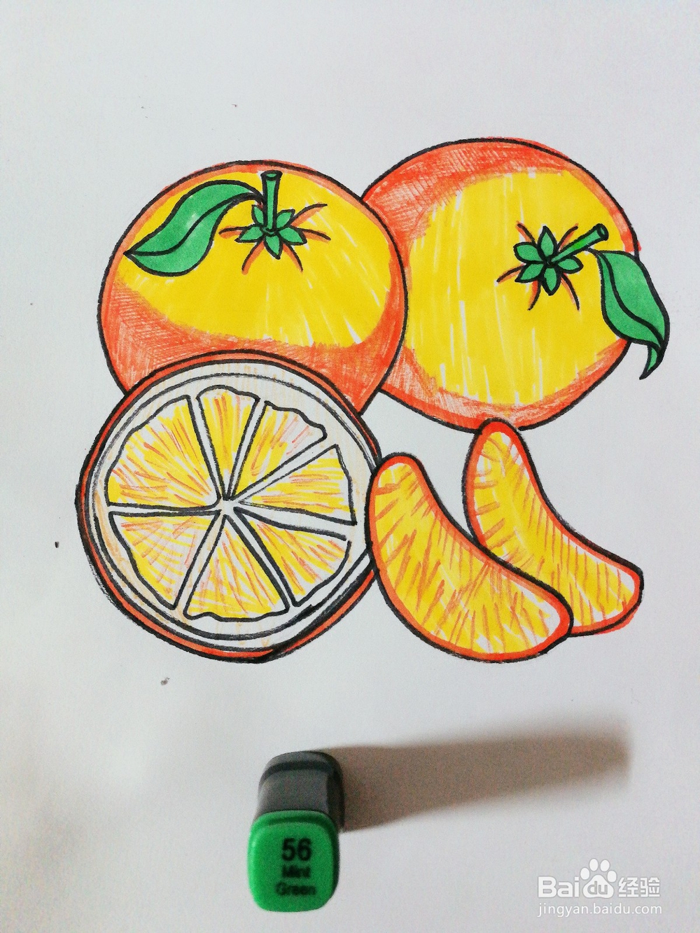 手绘三个橙子卡通绘本插图