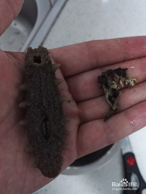 干海参怎样泡发