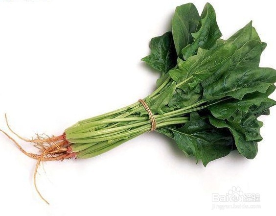 用脑过度吃什么食物可以补脑