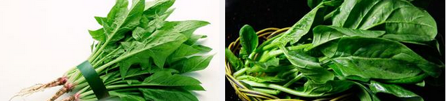 便秘患者饮食要注意什么