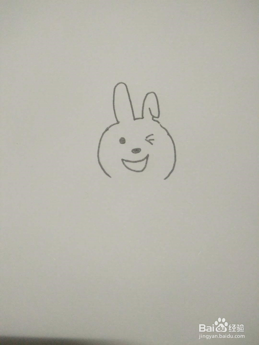 简笔画--小兔子~