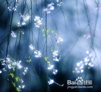 如何调整心态