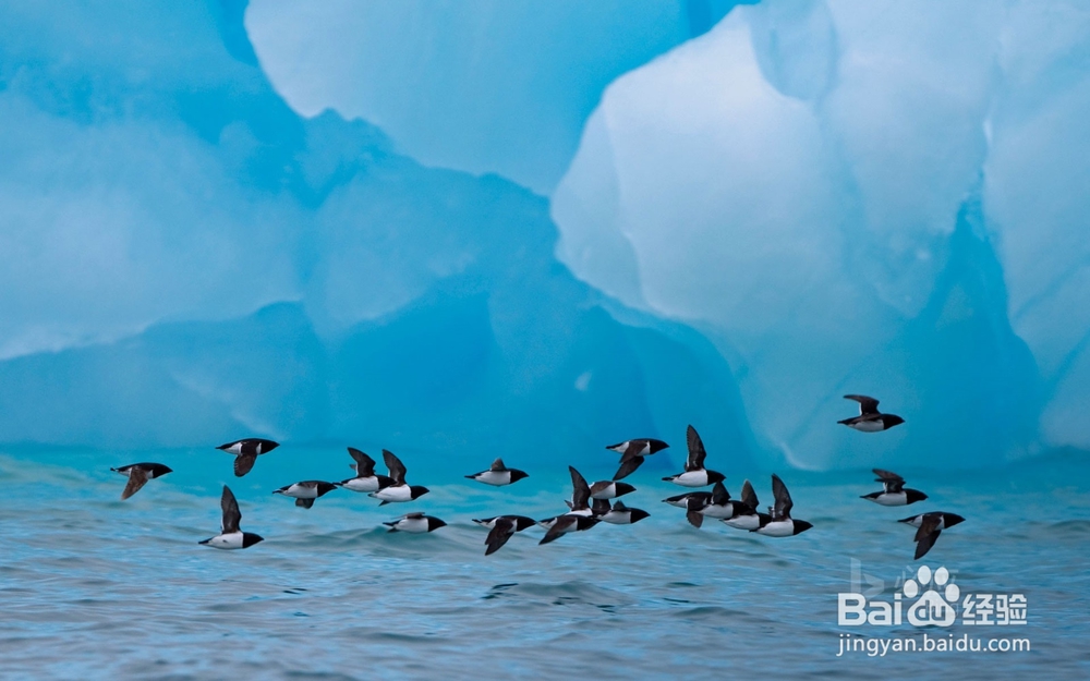 Python | 替换双斜杠