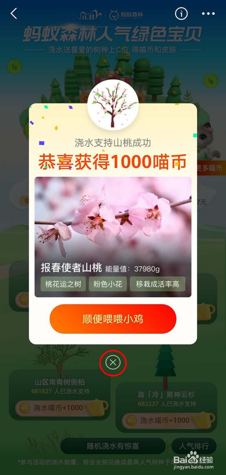 支付宝蚂蚁森林人气绿色宝贝浇水如何得道具