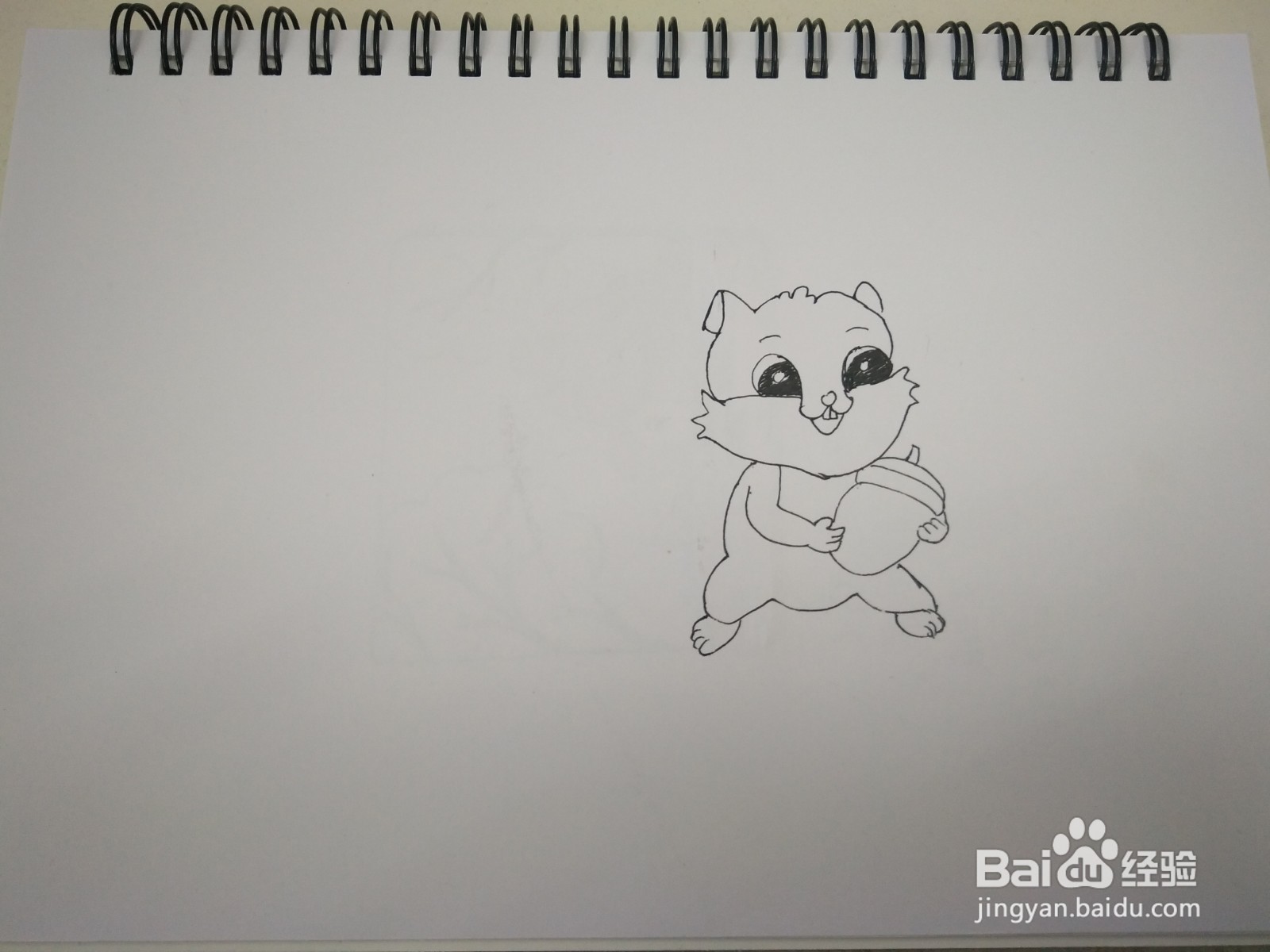 简笔画小松鼠
