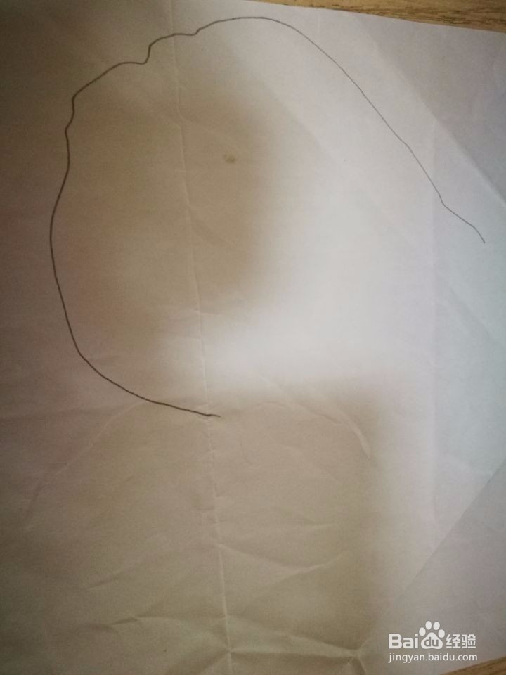 大白菜简笔方法