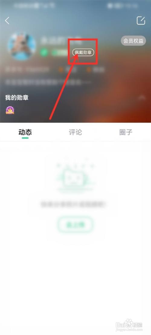 壁纸多多勋章如何佩戴