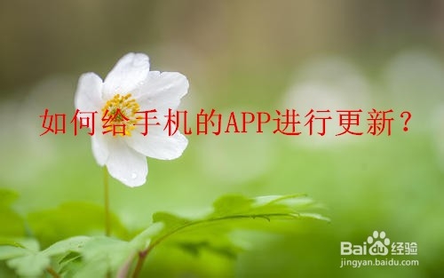 <b>如何给手机的APP进行更新</b>