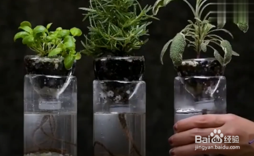 塑料瓶怎么变废为宝