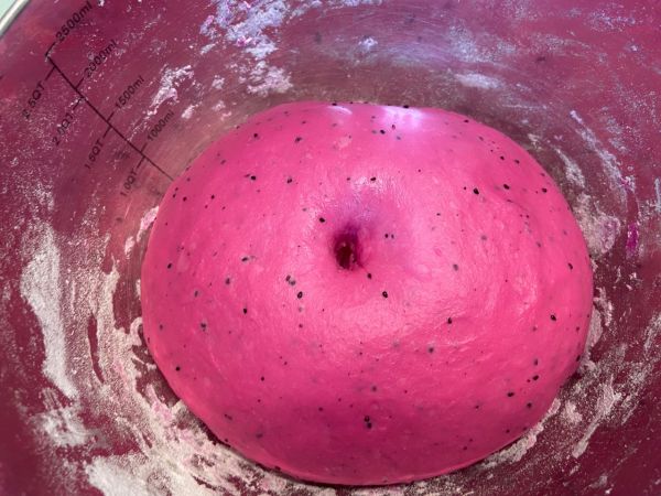 火龙果麻薯肉松软欧包