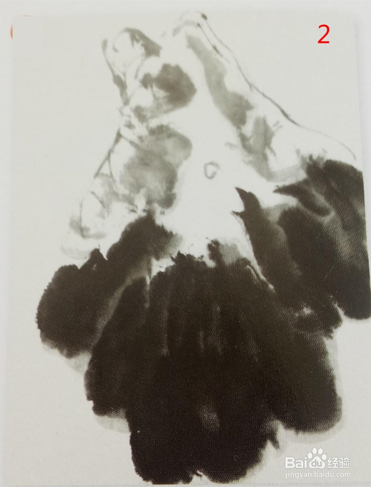 国画:半展荷叶的画法