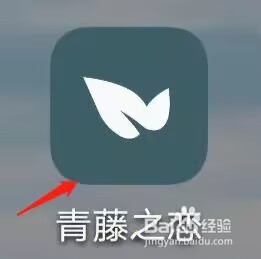 青藤之恋怎么绑定微信