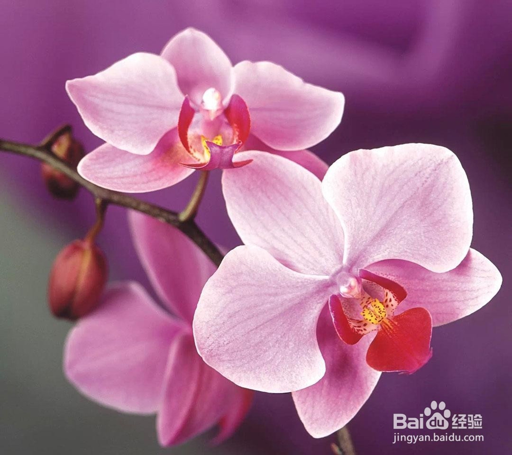 如何护理好自己的发质小贴士