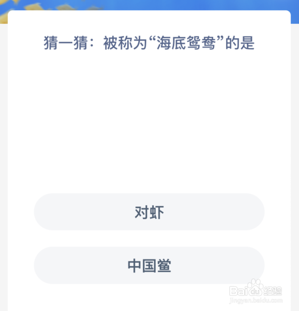 猜—猜被称为海底鸳鸯的是