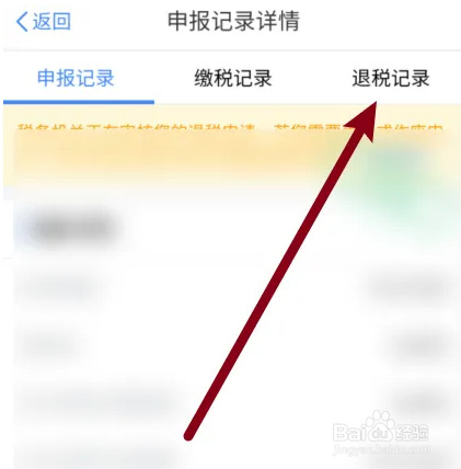 在个人所得税app中，退税进度信息如何查看